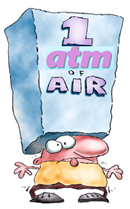 中国·BB贝博艾弗森(股份)有限公司-官方网站